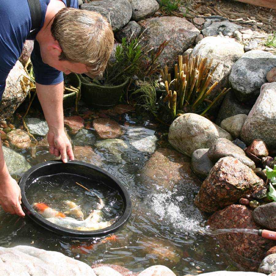 Spring pond cleanout in progress