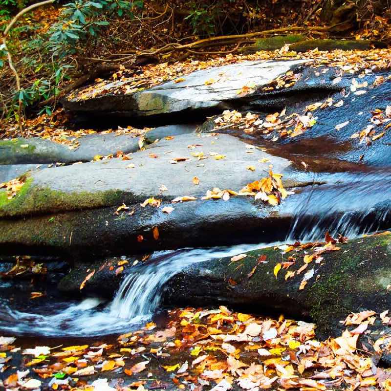 Fall pond closedown and winterizing