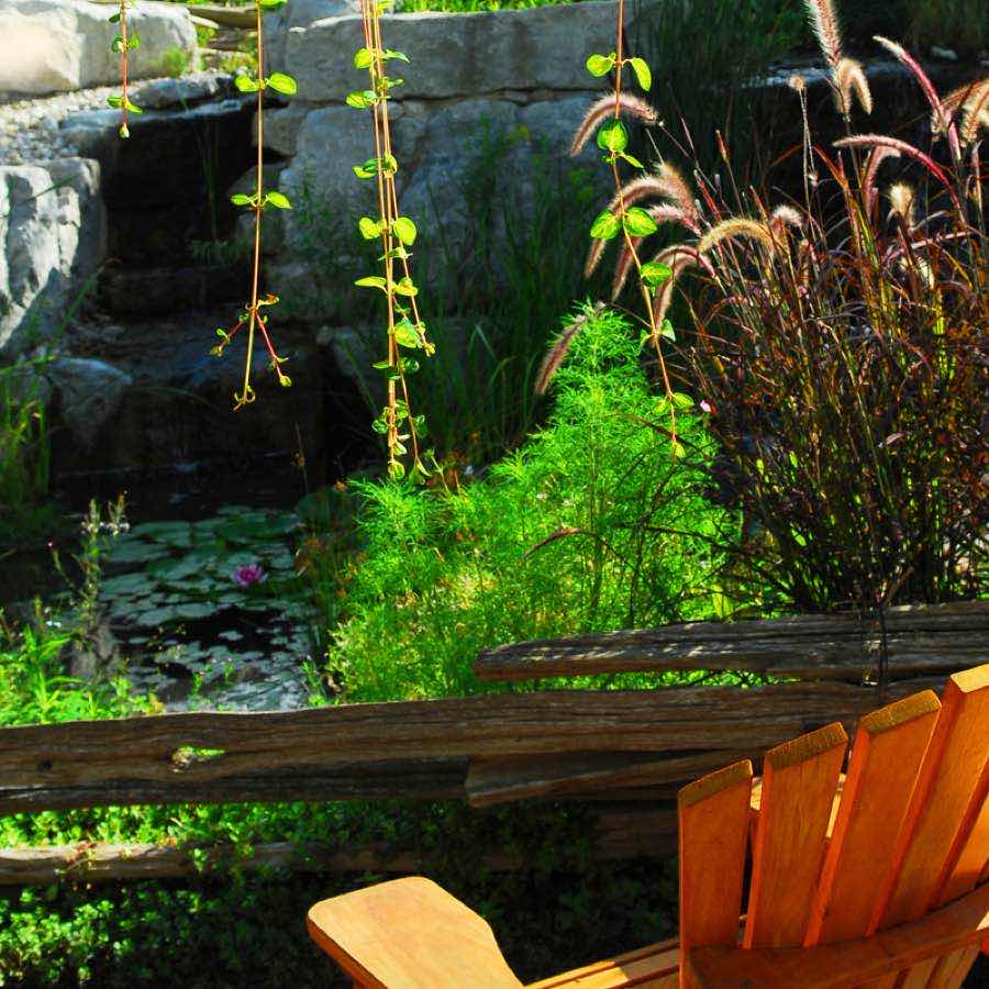Scheduled pond maintenance visit