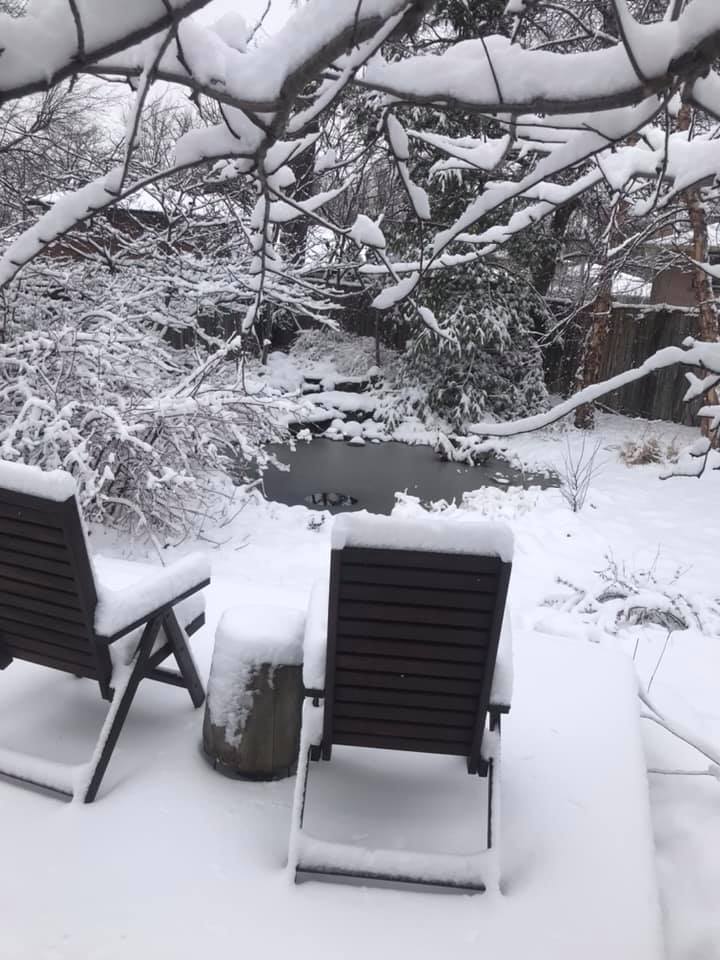 Backyard pond covered in snow during winter — year-round beauty